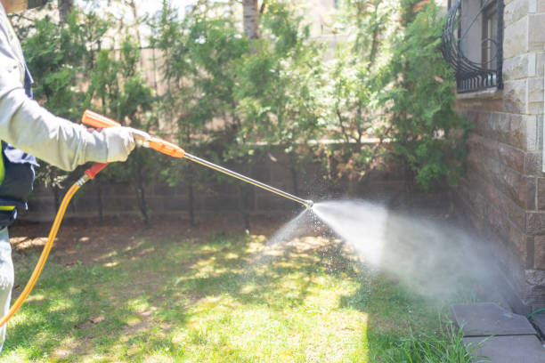 Best Fumigation Services  in Wayland, IA